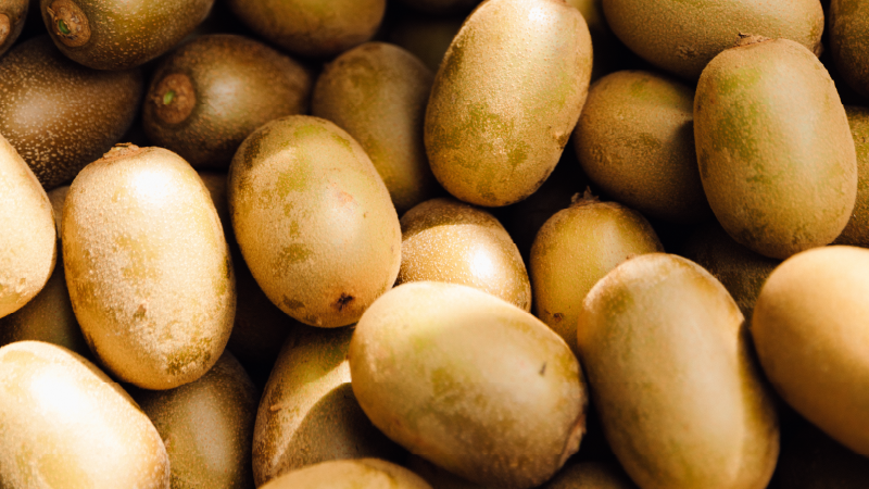 Fruit Quality Update -  August 2026